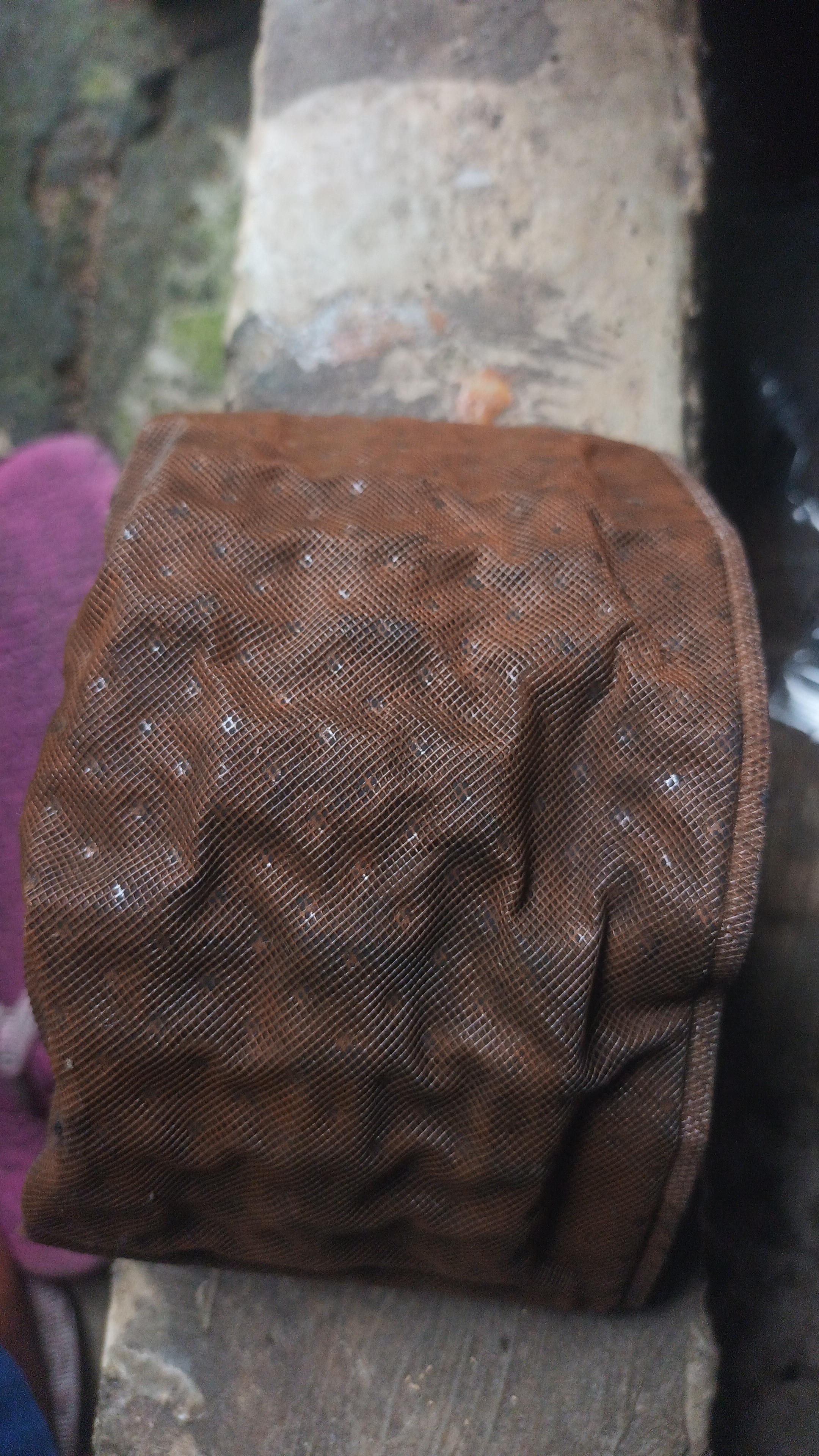 Calya Sigra ndut ndutan